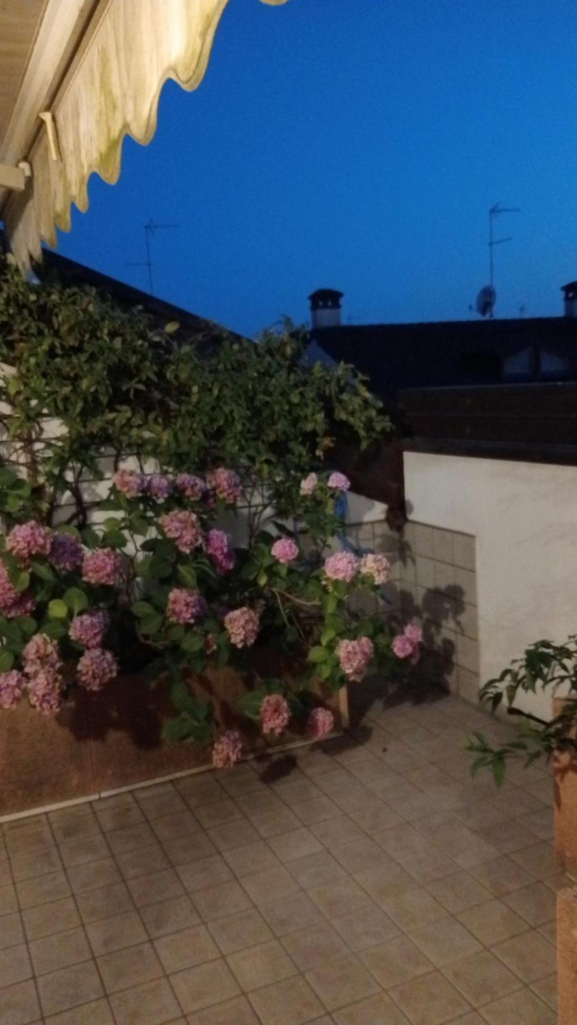 Attico Di Marisa Apartman Codroipo Kültér fotó
